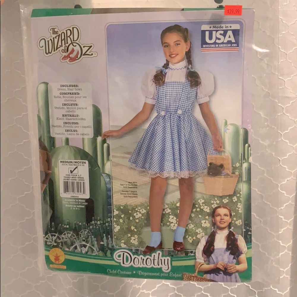 Kids’ Dorothy Halloween Costume (Wizard of Oz)